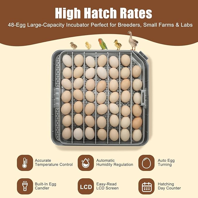 Nest IV - 48 Egg Incubator for Breeders, Fully Automated, Accurate Humidity & Temp Control, Chick Separator, Flexible Egg Spacing, Custom Incubation Days, Auto Turning & Auto Stop, Easy Monitoring