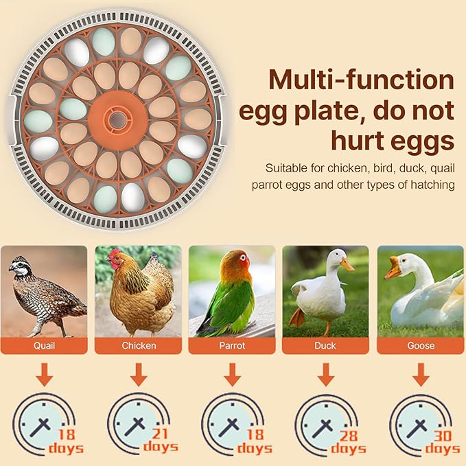 30 Eggs Incubator with Automatic Egg Turning with External Injection Water Bottle - Household Small Poultry Hatching Machine with Egg Candler Light for Chicken, Ducks, Pigeons,Bird (US Plug)