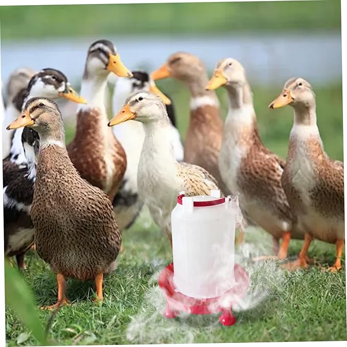 Heated Chicken Waterer for Winter, Heated Chicken Waterer 3L Thicken Plastic, Removable Water Heater with Leg Support & Handle, Poultry No Waste for Coop