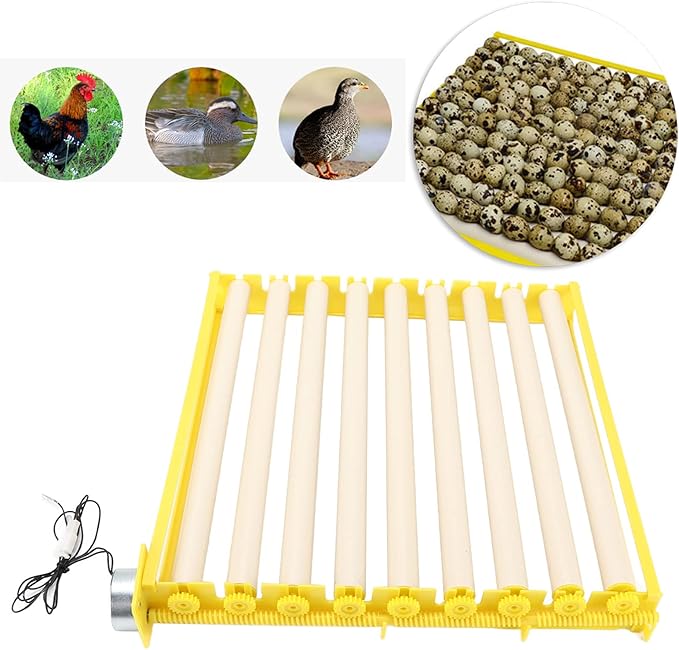 Fully Automatic Egg Incubation Tray,Household Egges Incubator Plate Automatic Chicken Eggss Turning Tray Mini Incubator Hatcher Auto Eggs Turner with Motor for Chicken Duck Quail Egg(12V)