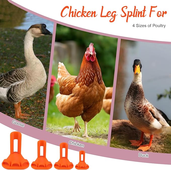 4-Piece Poultry Leg Splint Set with Holes- Professional Bumble Foot Treatment for Chickens & Duck for Fractures,Curled Toes,Osteoarthritis,Complete Bumblefoot Treatment Solution for All Growth Stages