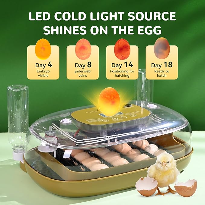 24 Egg Incubator with Automatic Turner, Thermometer seat and Humidity Control - Perfect for Hatching Chicken, Includes Egg Candler and Nesting Pads for Chicken coop