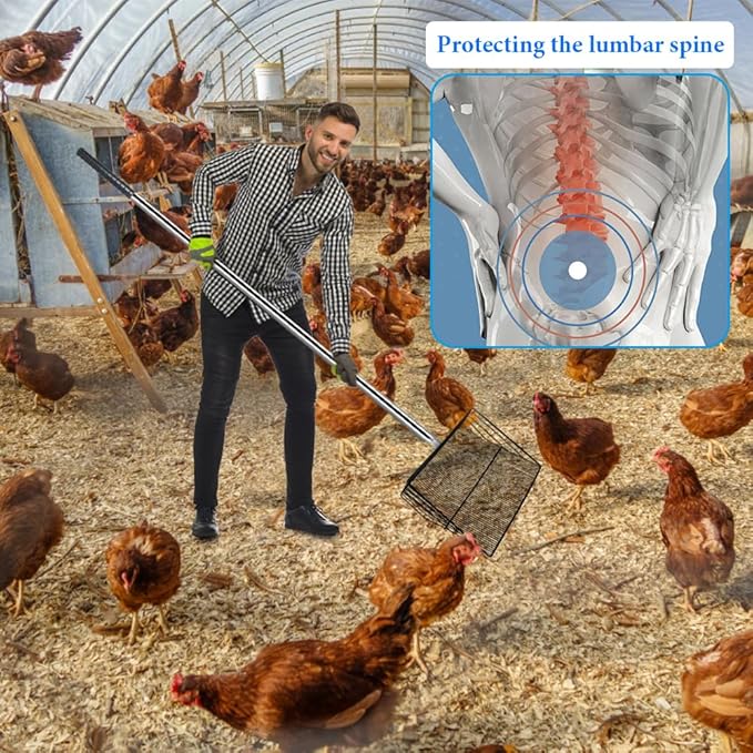 Heavy Duty Chicken Poop Scooper, 15 Inch Extra Large Chicken Coop Rake with Adjustable Stainless Steel Handle (25 to 73 Inch) for Chicken Coop & Farm Cleaning Tools