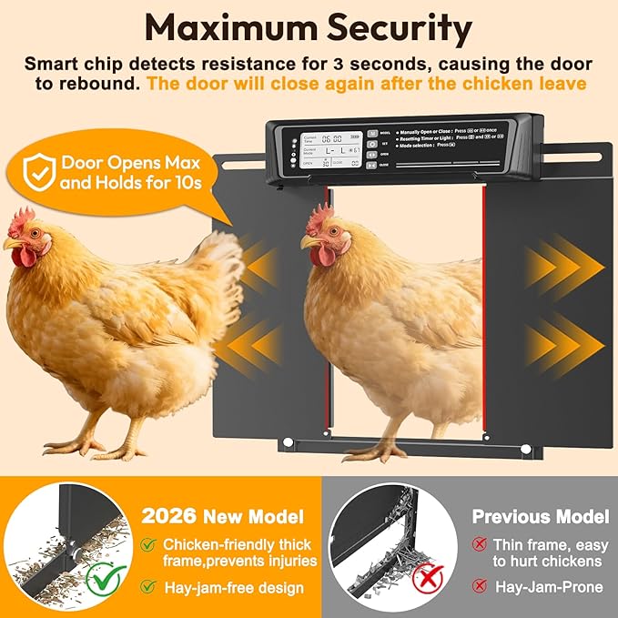 INNOLAND Large Size Automatic Chicken Coop Door Solar Powered - Timer/Manual Mode, Solar Chicken Coop Door Anti-Pinch, Aluminum Alloy Chicken Door | 20M Remote Control | Higher Battery Capacity