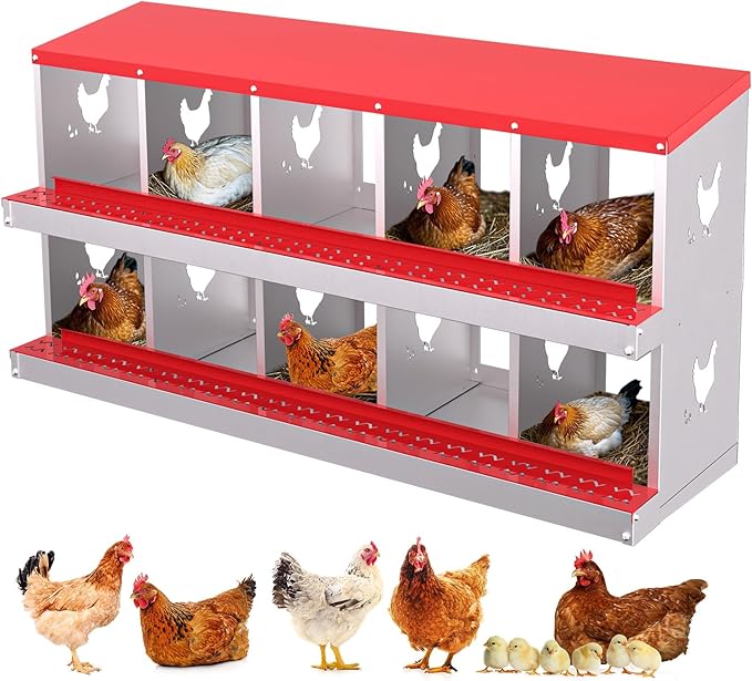 10 Holes Chicken Nesting Boxes, 2 Tiers 10 Compartments Metal Egg Laying Boxes, Wall Mount or Free Standing, Ventilated for Chickens, Hens, Ducks, Farm, Yard, Poultry Coop Accessories, Easy to Clean