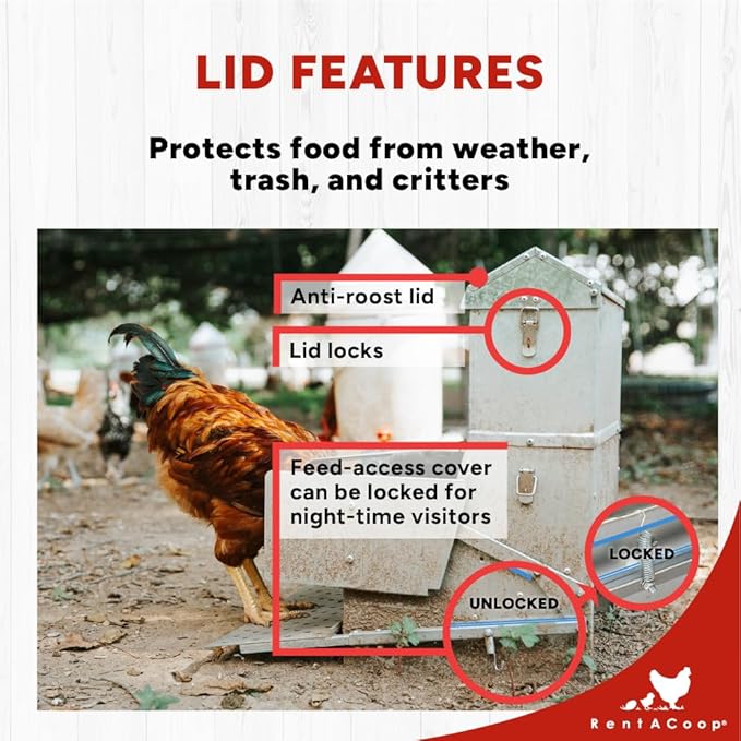 RentACoop Automatic Metal Treadle Feeder - Outdoor Use, Rainproof - Suitable for Chickens, Bantams, Poultry, Pheasants, etc. - 40lb Capacity