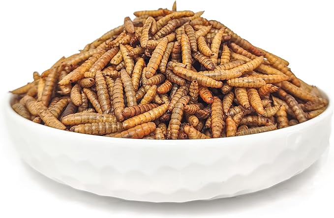 HARTOMPET Better Than Dried Mealworms for Chickens 10 lbs - 85X Calcium Than MealWorms - Non-GMO Chicken Feed Additive & Molting Supplement - black soldier fly larvae Treats for Hens, Ducks, Wild Bird