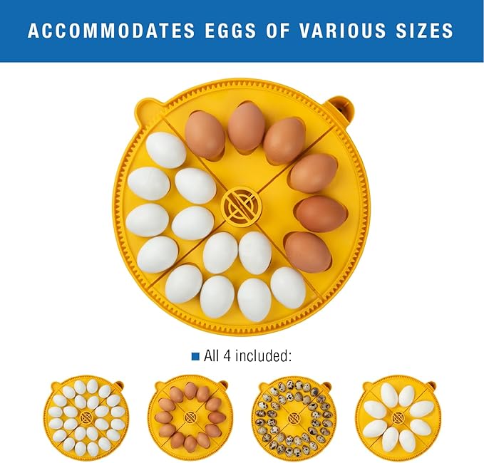 Brinsea Maxi 24 EX Egg Incubator with Automatic Humidity Control and Egg Turning for Hatching 24 Chicken, Duck, or Other Eggs, Optimal Flexibility with Mix & Match Sizes