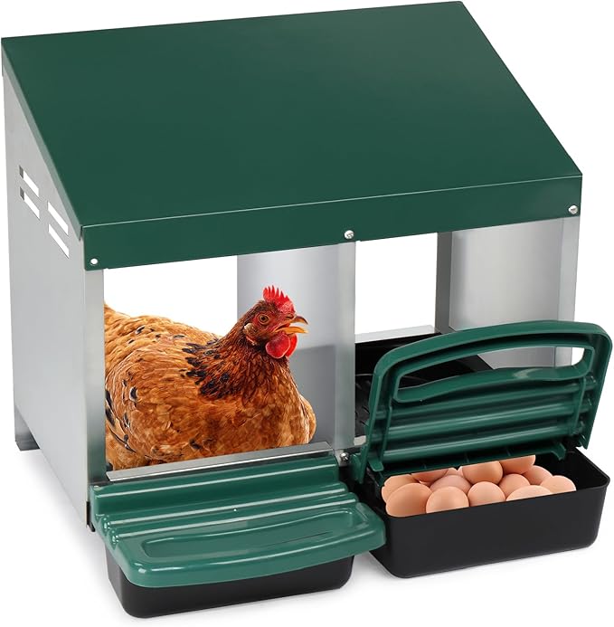 Chicken Nesting Boxes Plastic with Roll Away Egg,2 Compartment Roll Out Chicken Nest Box Egg Laying Box with Lid Cover,Rolling Egg Collection & Protection Chicken Coop for Up to 2 Hens,Green