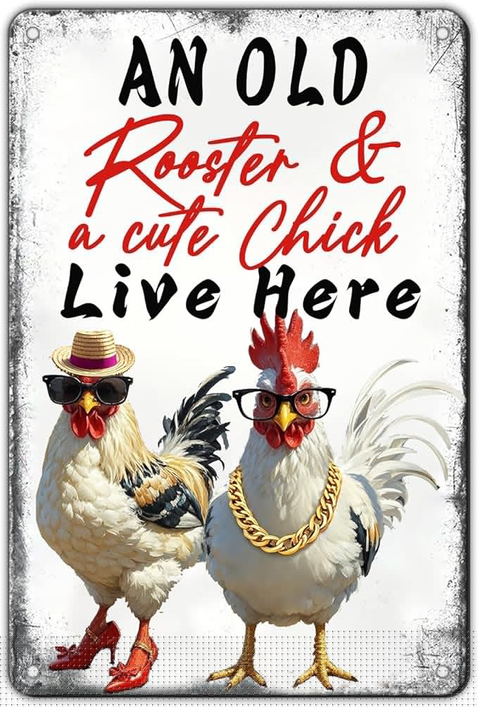 Chicken Metal Signs Chicken Coop Accessories Tin Sign Rooster Wall Decor Vintage Style An Old Rooster And A Cute Chick Live Here Tin Plaque For Farmhouse Garden Gate Fence Yard Decor 12x8 Inch