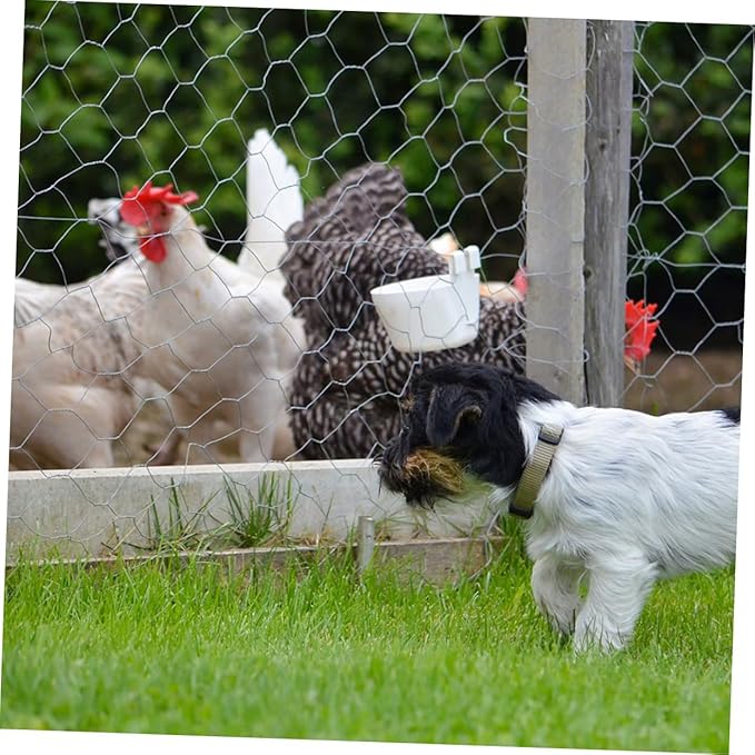 UPKOCH 1 Roll X Galvanized Chicken Wire Fencing Heavy Duty Poultry Netting for Coop Garden Protection Resistant Mesh for Enclosure