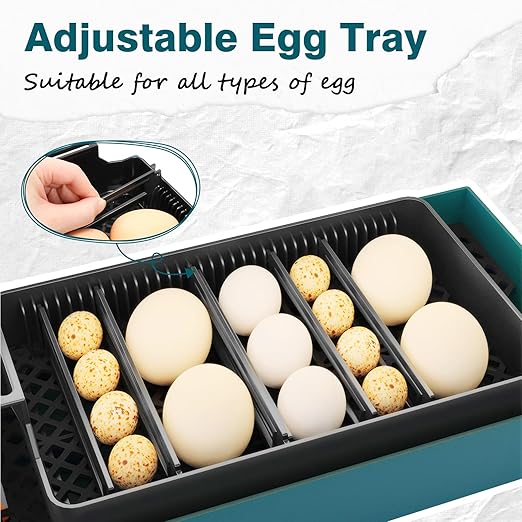 Incubator for Hatching Chicks, 10 Eggs Incubators with Automatic Egg Turning, Temperature and Humidity Control, Egg Candler, Hatching Incubator for Small Poultry, Chicken, Ducks (10 Eggs)