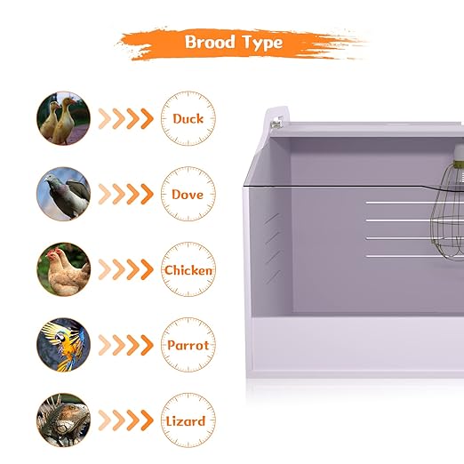 Chick Brooder Box with Heat Lamp - Suitable for Chicks, Ducks, Parrots & Lizards (19" X 12" X 12")