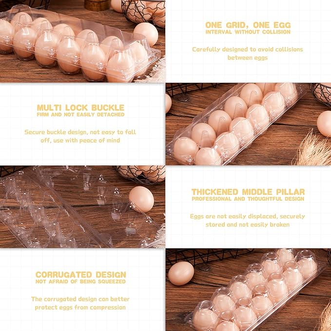 Septo 2 x 6 Plastic Egg Cartons for 12 Eggs,50 Pcs Egg Cartons Cheap Bulk Clear Reusable Tray Refrigerator Chicken Farm Markets