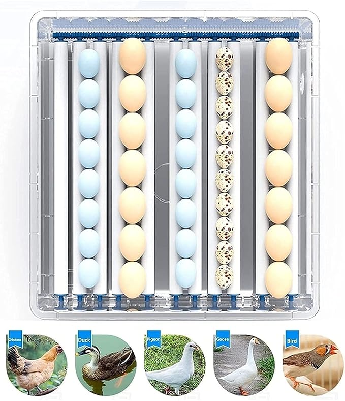 30 Eggs Incubator Automatic Turning and Digital LED Display Temperature Control Hatching Poultry for Chickens Ducks Goose Birds
