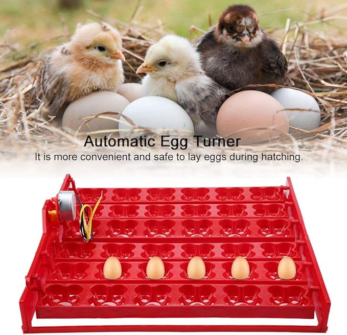 36 Eggs 144 Bird Eggs Incubator Hatcher Automatic Egg Turning Tray Tool for Chickens and Ducks Red Plastic