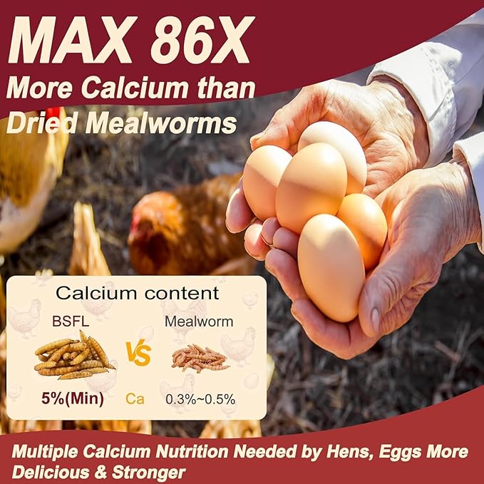 10LB Dried Black Soldier Fly Larvae for Chickens, Non GMO 86X More Calcium BSF Larvae Than Mealworms for Chickens & Birds, Natural Chicken Feed Bulk, Chicken Worms Treats, Wild Birdseed Attractant