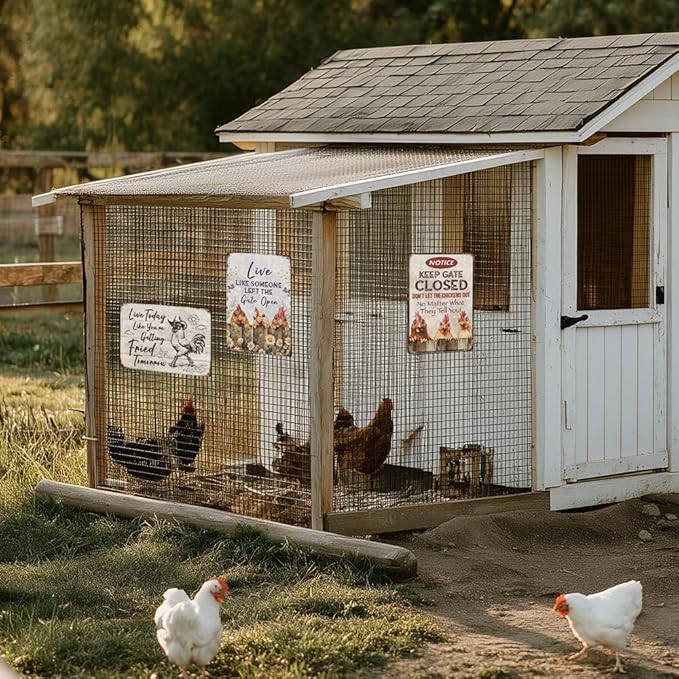 Heuhuww Funny Chicken Decor Sign -Live Like Someone Left The Gate Open for Chicken Coop Farm Fence Home Kitchen Rooster Wall Decor 12" x 8"(H1)