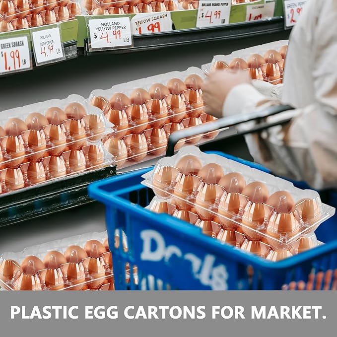 120 Pack Egg Cartons Cheap Bulk Large Egg Cartons Clear Empty Plastic Egg Containers for Home Ranch Farm Commercial Market Display, 2×6 Grids