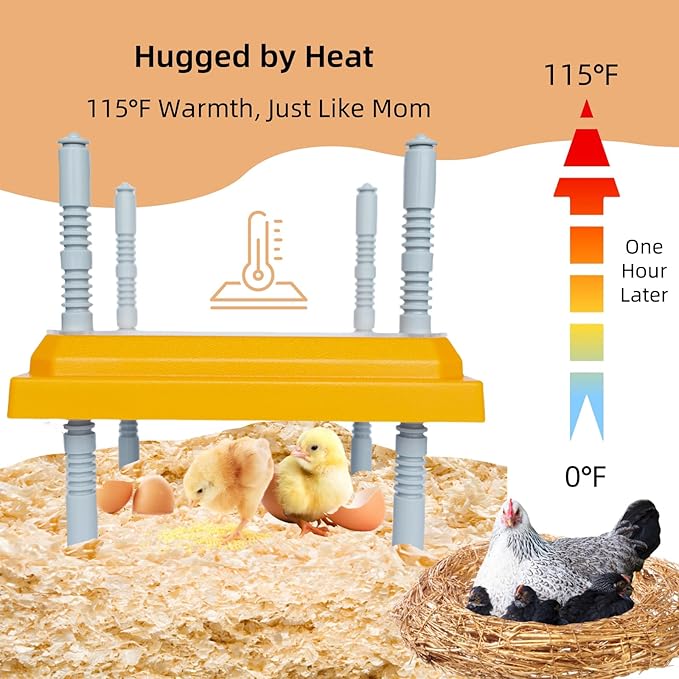 Brooder Heater for Chick Brooder Heating Plate with Easy Cleaning Plate Poulty Coop Heater Chicks Warmer 10 x 10 Inch for 15 Chicks Adjustable Height 15 Watts Chicken Duckling Quail