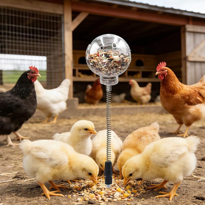 Chicken Treat Dispenser, Chicken Enrichment Toys with Spring and Ground Stake, Feeder for Coop, Coop Accessories for Hens, Geese, Ducks, Turkeys, Other Poultry