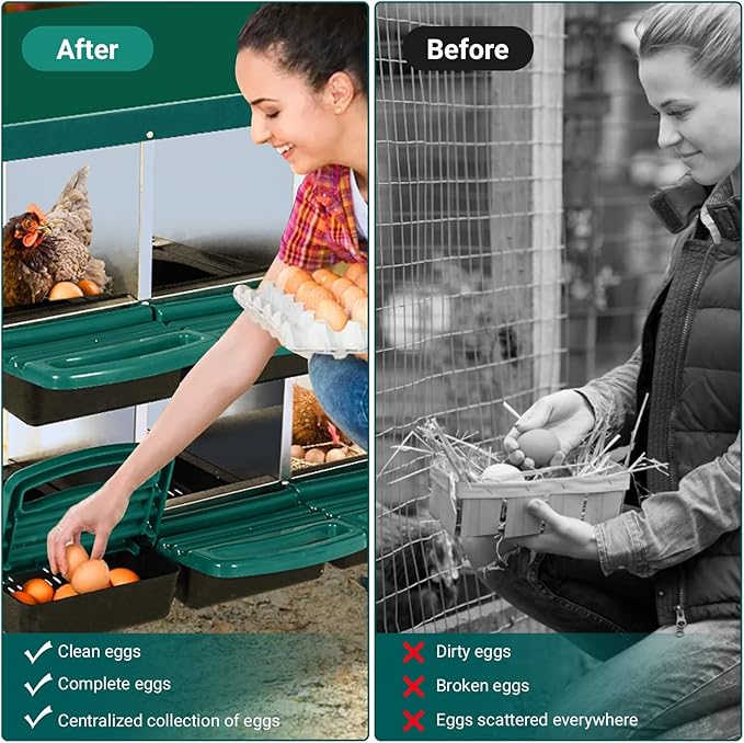 8 Compartment Metal Chicken Nesting Box, Automatic Roll-Out Egg Collection, Waterproof Galvanized Steel Laying Box, for Hens Ducks Rabbits, Green
