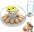 Okkobi M12 Egg Incubator with Automatic Turner and Humidity Control - 12/24 Eggs, 360° View, Easy to Use and Clean - Incubadora de Huevos de Gallina - Incubators for Hatching - White & Yellow