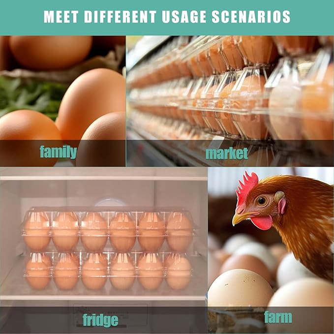 40 Packs 12 Count Plastic Egg Cartons, 2 * 6 Grids Design, Perfect for Family, Farm,Markets, Display(Large)