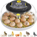 Incubator for Hatching Eggs-18 Egg Capacity, Automatic Egg Turner, Temperature & Humidity Control, 360° Viewing for Chicken, Duck and Quail Eggs