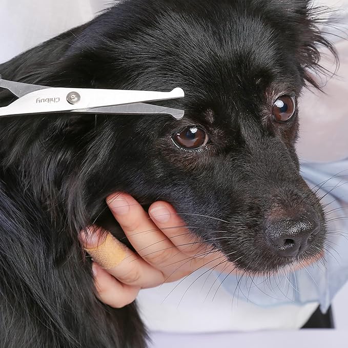 Chibuy Professional Pet Grooming Scissors with Round Tip Stainless Steel Dog Eye Cutter for Dogs and Cats, Professional Grooming Tool, Size 6.70" x 2.6" x 0.43" 1. Grey