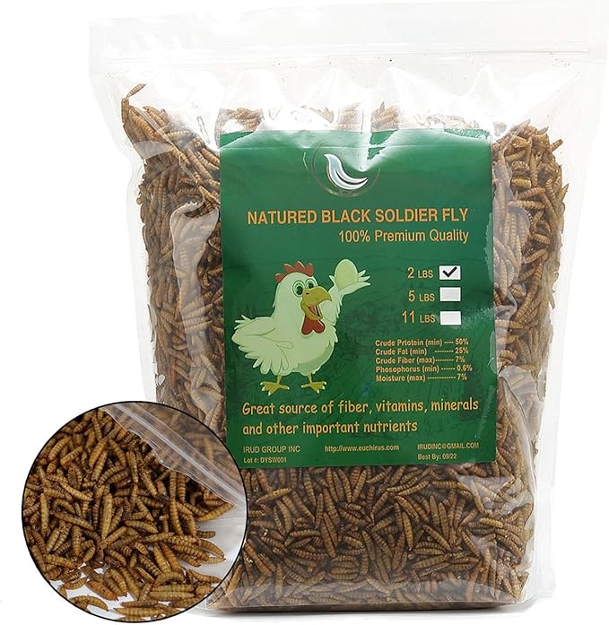 Black Soldier Fly Larvaeis,6LB 100% Natural Large Size No Moisture,Mealworm for Birds Chickens Hedgehog Hamster Fish Reptile Turtles