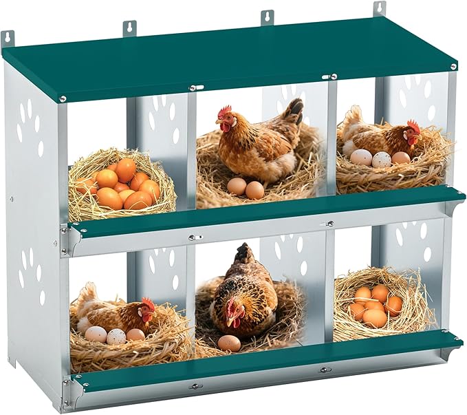 Chicken Nesting Box for Laying Eggs, Metal Chicken Laying Boxes Wall Mountable, Easy Egg Collection Roll Away Nesting Boxes, Chicken Coop Nesting Boxes for Hens, 6 Compartments