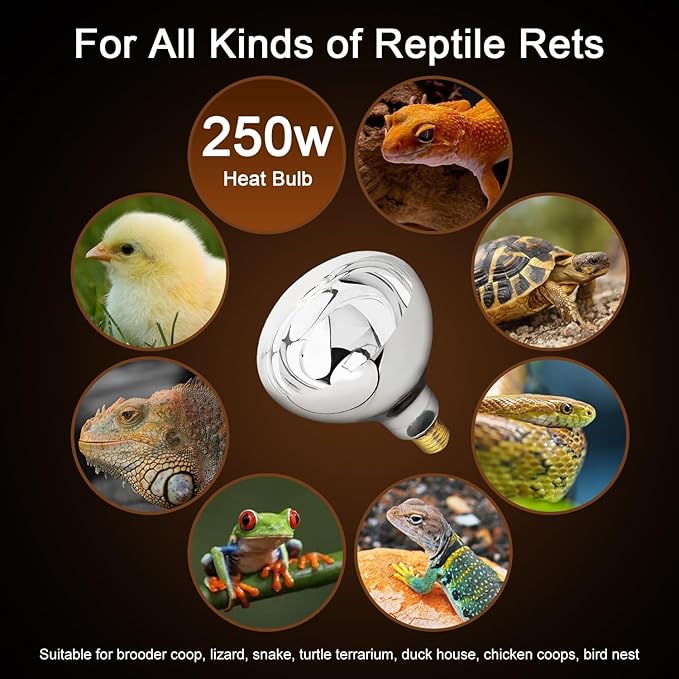 250W Heat Lamp Clear Infrared Bulbs, Flood Light Heat Lamp Bulb for Food Service, Brooder Bulb, Chicks, Pet, Bathroom, Light Therapy Use, Glass, 2 Pack