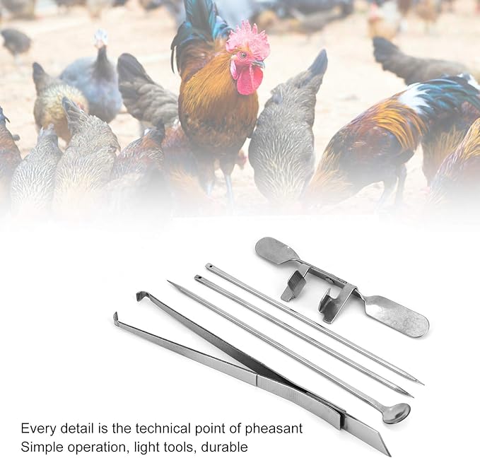 5Pcs Capon Knife, Tool Stainless Steel Kit Poultry Ca Ion Chicken Farms Veterinary Instrument for