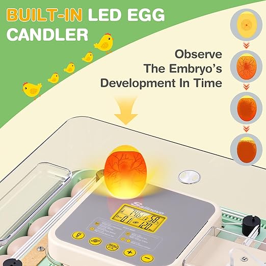 Sailnovo 48 Egg Incubator for Hatching Eggs with Auto Egg Turning, Precise Temp & Humidity Control, 360°Viewing, Egg Candler, Incubator for Chicken Eggs/Duck/Quail,Ideal for Farm/School/Lab,Green