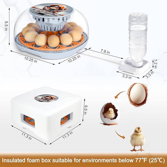 Smart Chicken Incubators for Hatching Eggs with Automatic Turner Small Poultry Duck Quail 12 Egg Incubator Temperature Control Display Hatcher Machine (Mechachick, ℉)