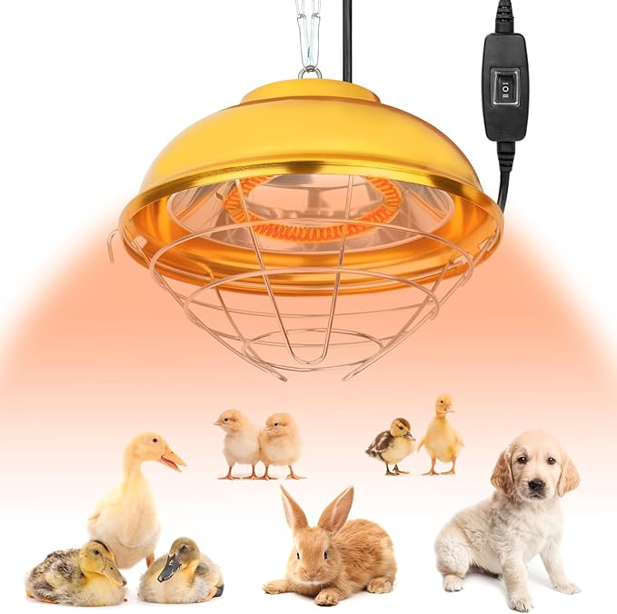 300W Chicken Coop Heater Lamp, Waterproof Heat Lamp for Chickens with 2-Stage, Brooder Heater for Chicks with Chain for Indoor & Outdoor Use Heating Lamps for Chick Duck Rabbit Dog