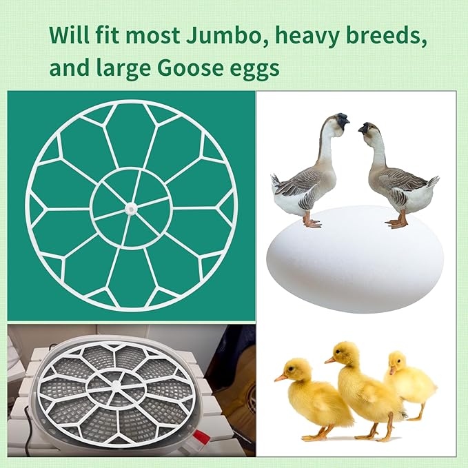 10 Egg Capacity Jumbo Goose Heavy Breeds Tray Fits Nurture Right 360 Incubator Turner, White (JGT360)