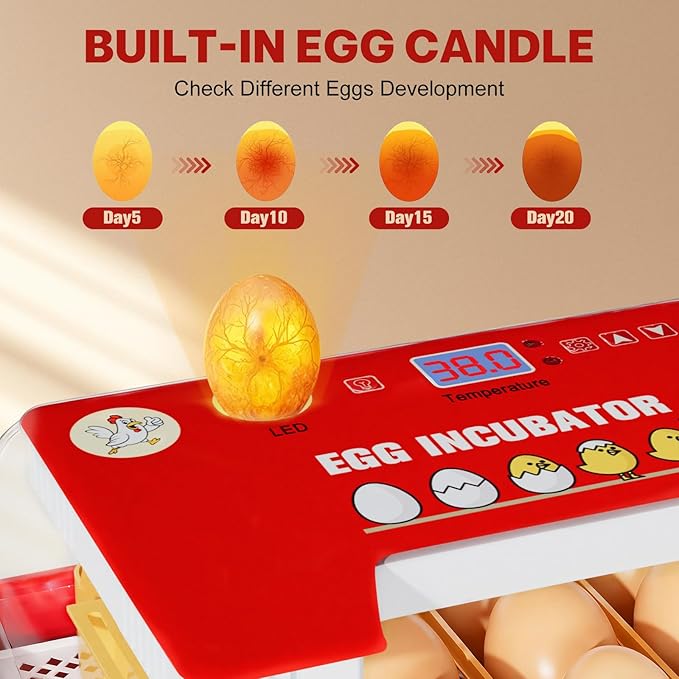 Incubators for Hatching Eggs 15-35 Eggs Incubator with Automatic Egg Turning and Temperature Humidity Control Display LED Candler Poultry Incubator for Hatching Chicken Duck Quail (Red)