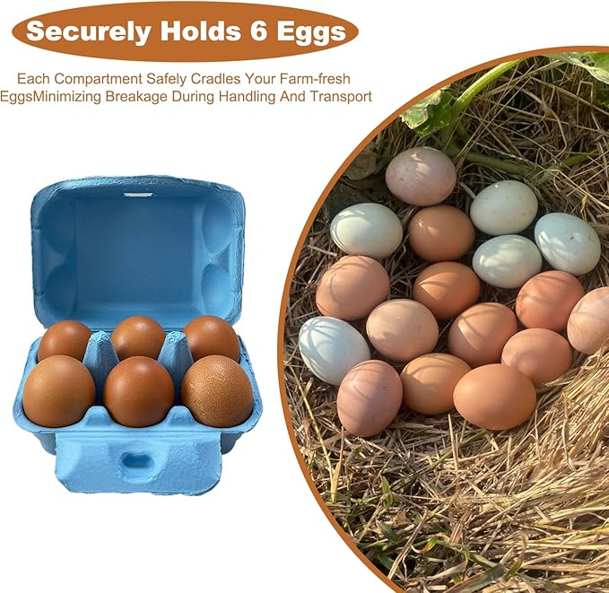 Half Dozen Paper Pulp Egg Cartons Cheap Bulk Fresh Chicken Eggs Basket Holder Storage Container Reusable for Easter (Blue, 20)