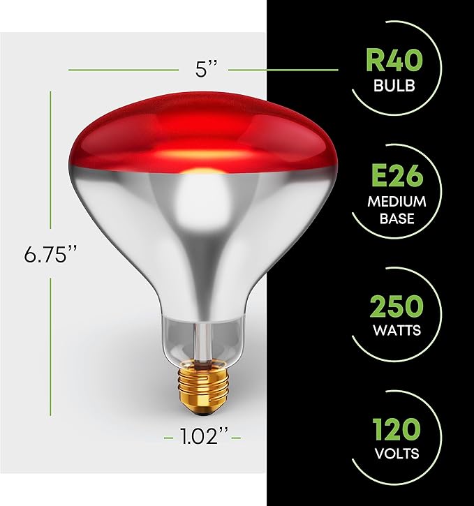 250 W att R40 Incandescent Light Bulbs (2-Pack) - Bathroom Infrared Heat Lamp for Chickens Chicks Puppies Reptiles Livestock Poultry , Sauna Red Light Therapy Bulb | 2,000 Hour Rated, E26 Base, 120V