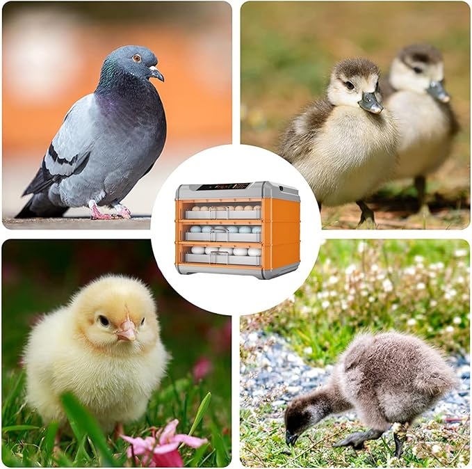 Automatic Incubator, Egg Incubator, with Automatic Temperature and Humidity Control Chicken Incubators for Hatching Eggs,192Eggs,64Eggs