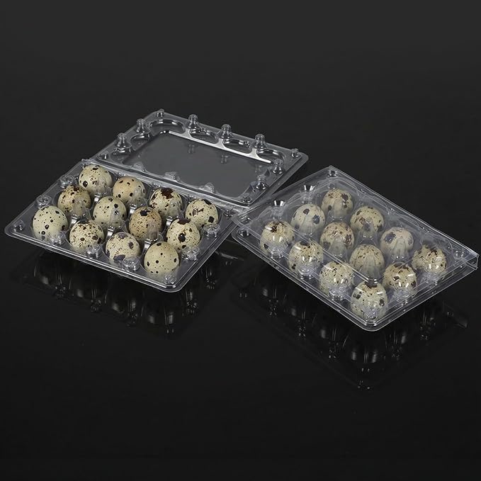 60 Pcs Quail Egg Cartons, 12 Grids Clear Plastic Square Classical 3x4 Style Egg Cartons, Quail Egg Holder Reusable Small Egg Carton Storage Holders Bulkfor Refrigerator