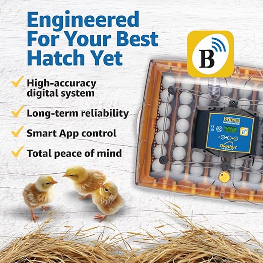 Brinsea Ovation 56 EX Connect App Controlled Egg Incubator with Automatic Egg Turning and Humidity Control for Hatching 56 Chicken, Duck, Other Eggs, Precision App-Driven Digital Controls and Alarms
