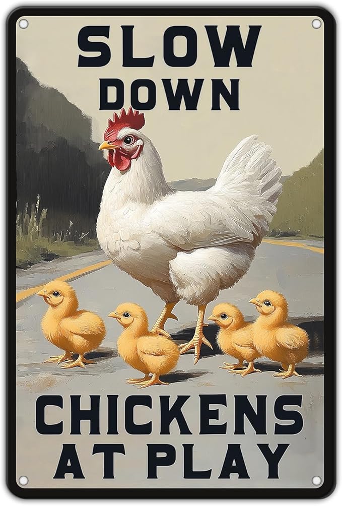 Funny Chicken Signs Slow Down Chickens At Play,chicken Crossing Aluminium Sign Metal Chicken Signs Decor Home Ktichen Farm Are Wall 12x8 Inch Chicken Signs For Coop Metal Tin Signs Poster