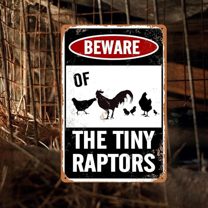 Beware Of Chicken Sign Chicken Signs For Coop Funny Outdoor Chicken Coop Signs Beware Of The Tiny Raptors Sign Chicken Coop Accessories Funny Warning Sign For Chickens Chicken Coop Decor 8x12 Inch