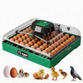 Egg Incubator for Chicken Eggs, 72 Egg Large Capacity with Automatic Egg Turner and Humidity Control, Egg Hatching Incubator for Chicken, Quail, Duck & Geese with Built-in Candler for Farm & Classroom