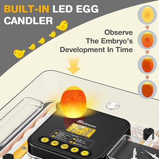 Sailnovo 48 Egg Incubator for Hatching Eggs with Auto Egg Turning, Precision Temp & Humidity Control, 360°Viewing, Egg Candler, Incubator for Chicken Eggs/Duck/Quail,Ideal for Farm/School/Lab,Gray