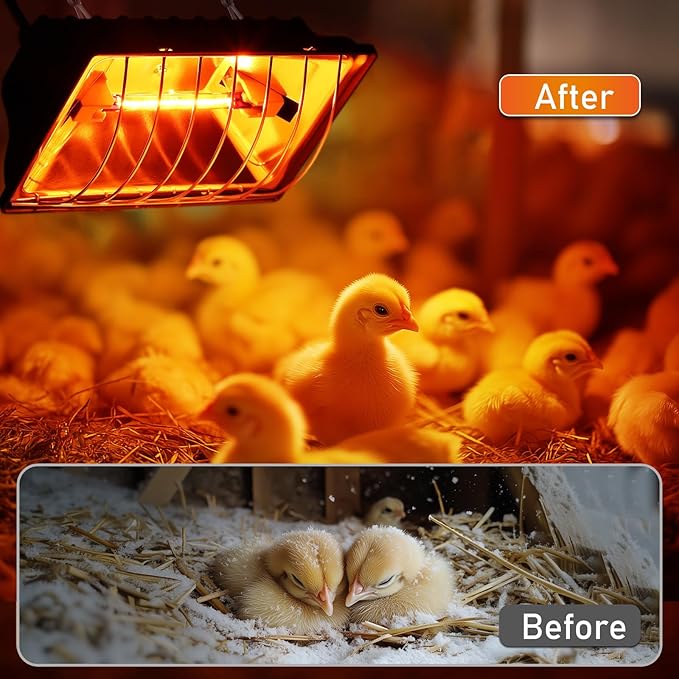 250W Chicken Brooder Heater for Chicks Ducks, Brooder Heater with 2PCS Heat Lamp, 6ft Cord Chicken Brooder Lamp with Adjustable Temp & Height, Chicken Coop Heater for Livestock Indoor Warmer