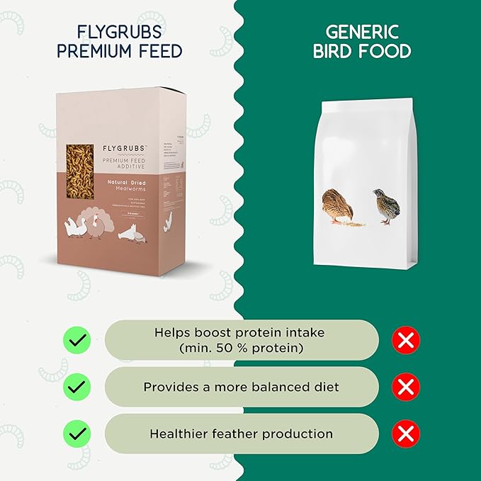 FLYGRUBS 20 lbs Dried Mealworms for Chickens – 85X More Calcium,Non-GMO,High-Protein Feed & Molting Supplement for Hens, Ducks, Turkeys, Wild Birds, Additive & Preservative Free